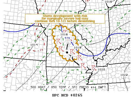 Mesoscale Discussion 265