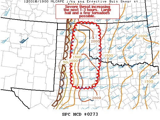 Mesoscale Discussion 273