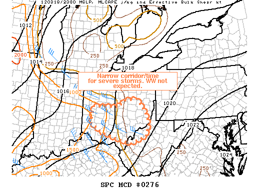 Mesoscale Discussion 276