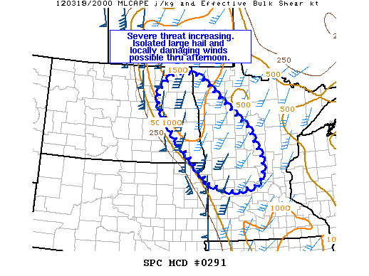 Mesoscale Discussion 291