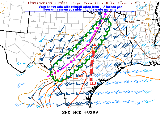 Mesoscale Discussion 299