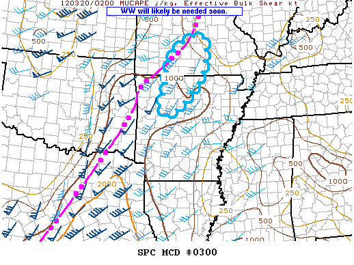 Mesoscale Discussion 300
