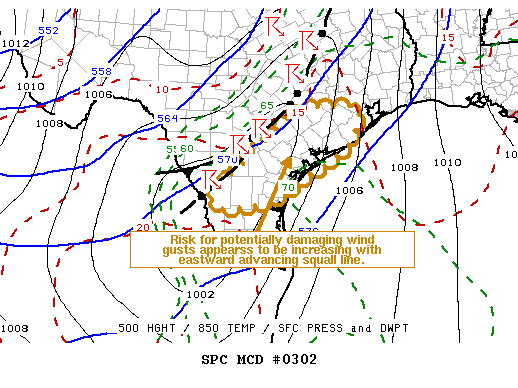 Mesoscale Discussion 302