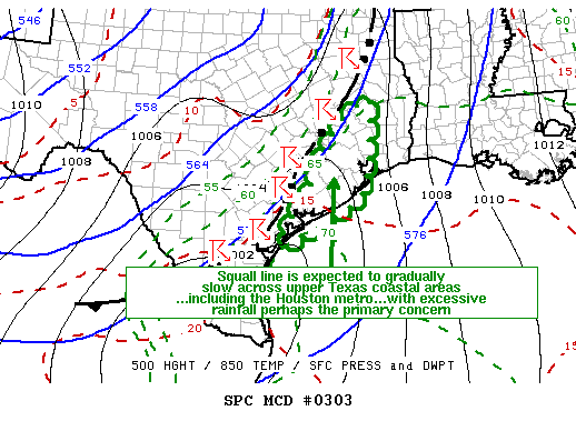 Mesoscale Discussion 303