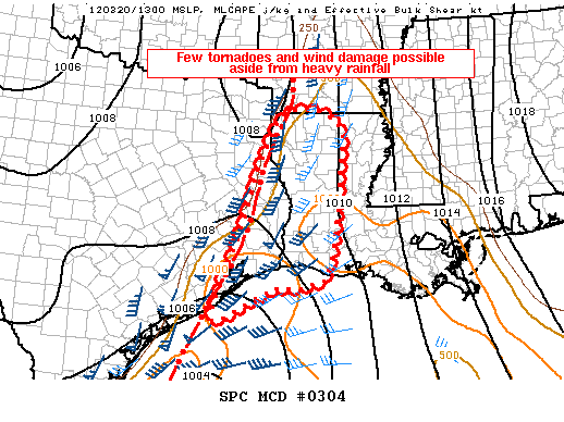 Mesoscale Discussion 304