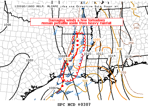 Mesoscale Discussion 307
