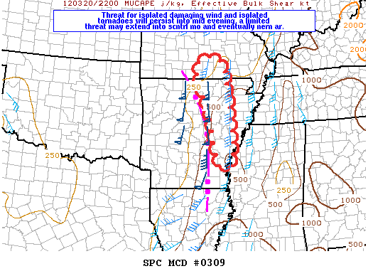 Mesoscale Discussion 309