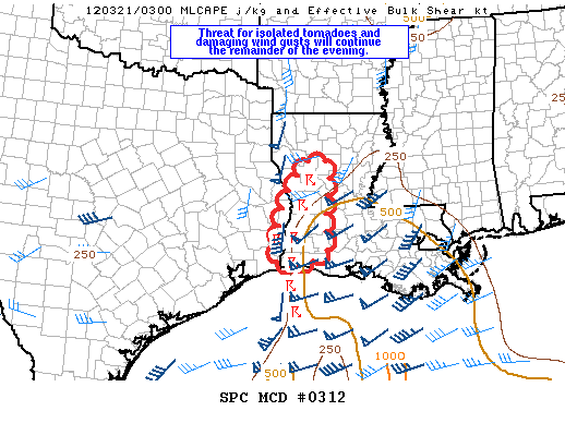 Mesoscale Discussion 312