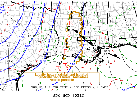 Mesoscale Discussion 313