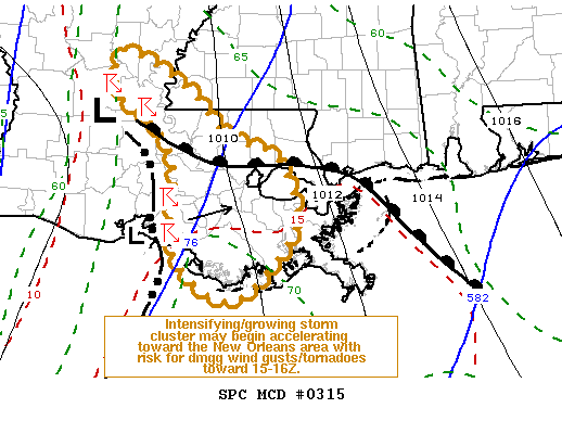 Mesoscale Discussion 315