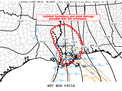 Mesoscale Discussion 316