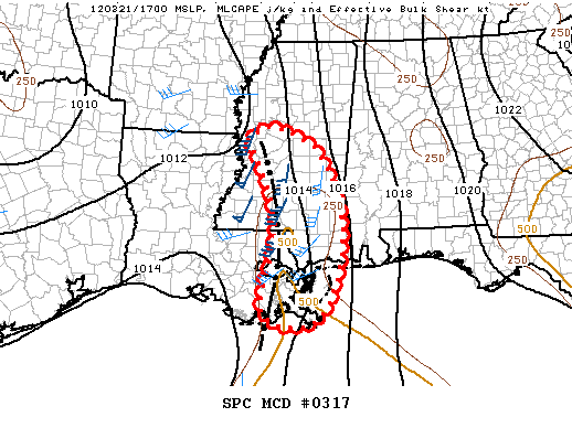Mesoscale Discussion 317