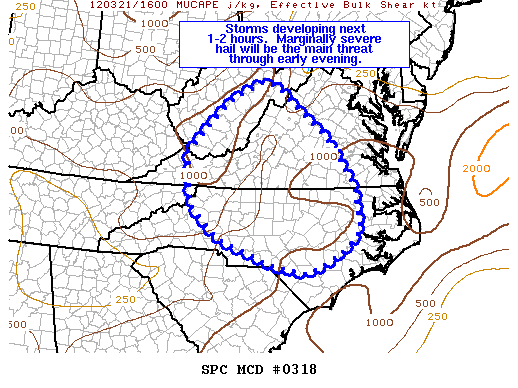 Mesoscale Discussion 318