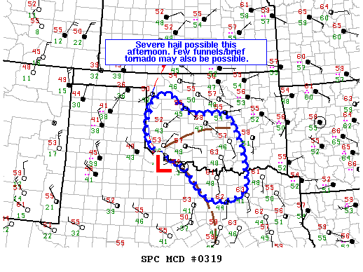 Mesoscale Discussion 319