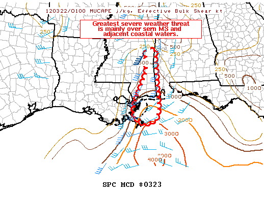 Mesoscale Discussion 323