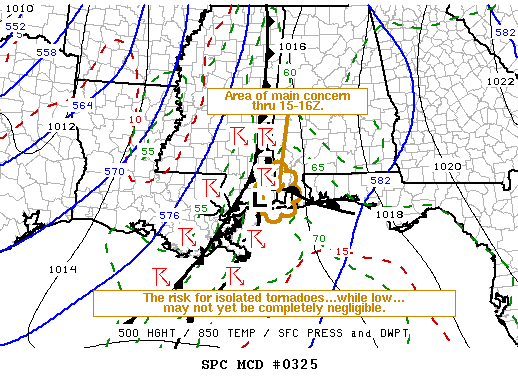 Mesoscale Discussion 325