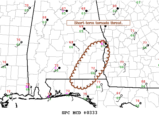 Mesoscale Discussion 333