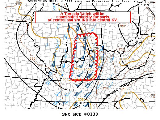 Mesoscale Discussion 338