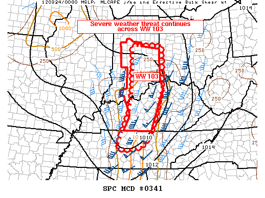 Mesoscale Discussion 341