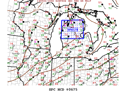 Mesoscale Discussion 675