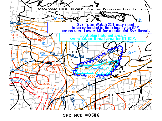 Mesoscale Discussion 686