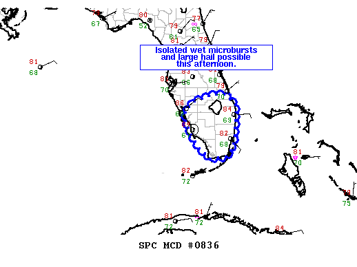 Mesoscale Discussion 836
