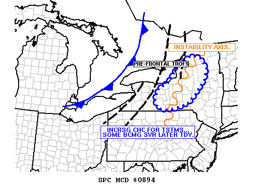Mesoscale Discussion 894