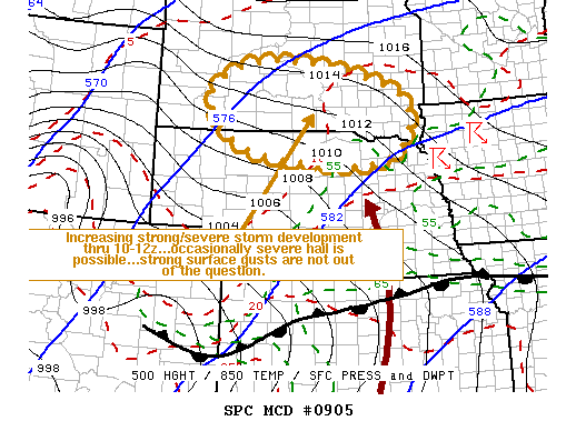 Mesoscale Discussion 905