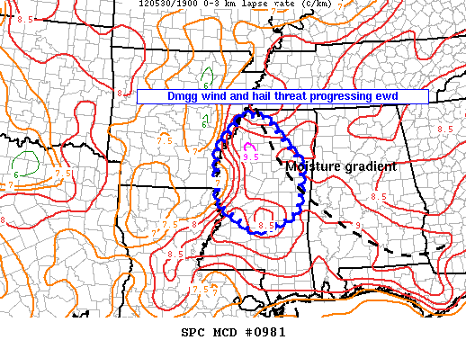Mesoscale Discussion 981