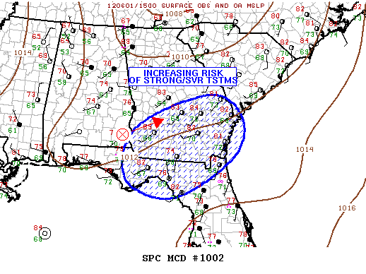Mesoscale Discussion 1002