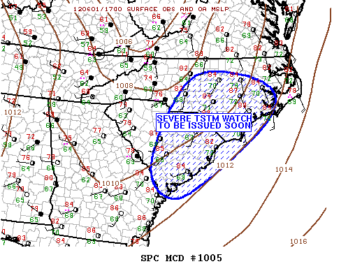 Mesoscale Discussion 1005
