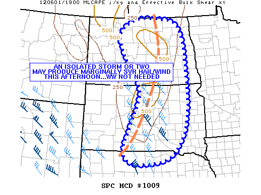 Mesoscale Discussion 1009