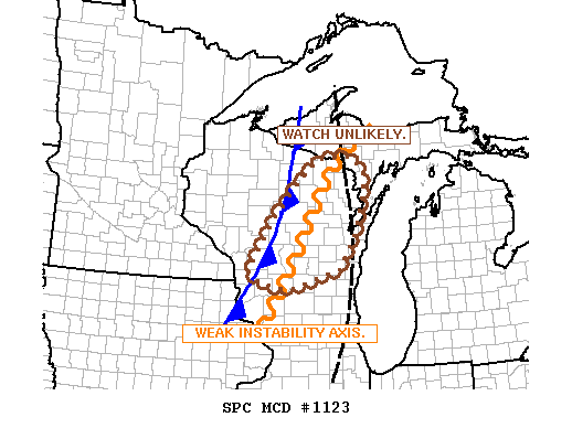 Mesoscale Discussion 1123