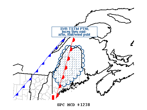 Mesoscale Discussion 1238