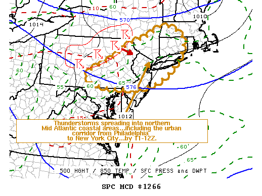 Mesoscale Discussion 1266