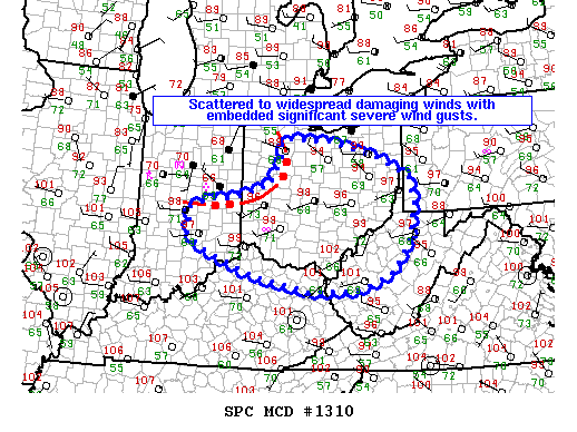 Mesoscale Discussion 1310