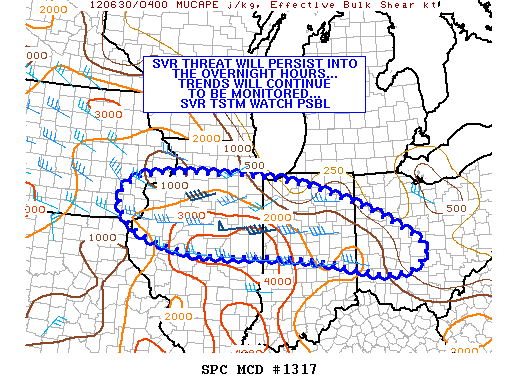 Mesoscale Discussion 1317