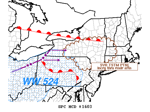 Mesoscale Discussion 1603