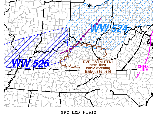 Mesoscale Discussion 1612