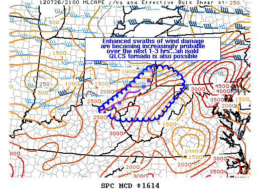 Mesoscale Discussion 1614
