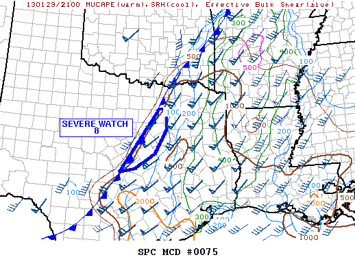 Mesoscale Discussion 75