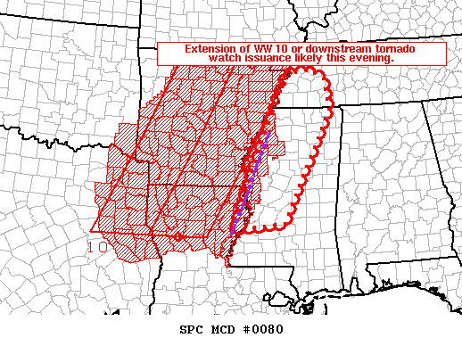 Mesoscale Discussion 80