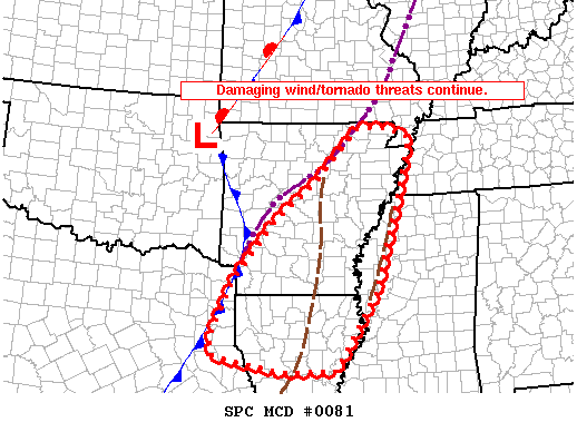 Mesoscale Discussion 81