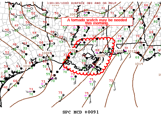 Mesoscale Discussion 91