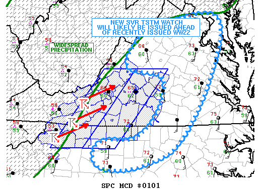 Mesoscale Discussion 101