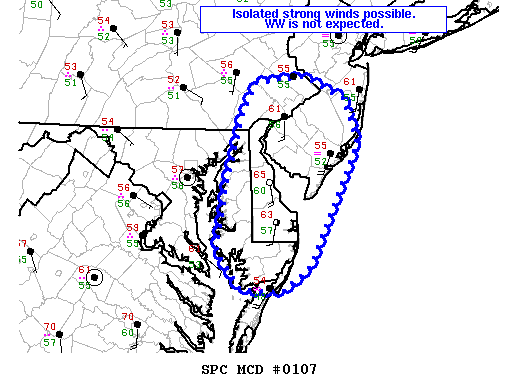 Mesoscale Discussion 107