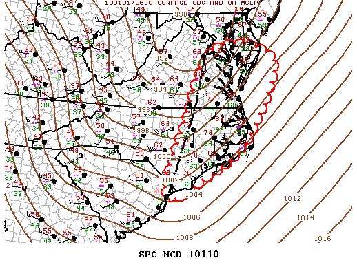 Mesoscale Discussion 110