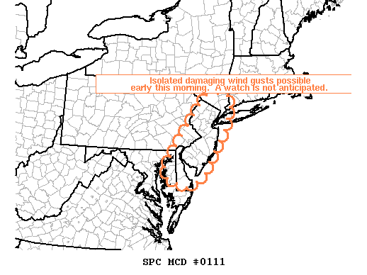 Mesoscale Discussion 111