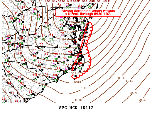 Mesoscale Discussion 112