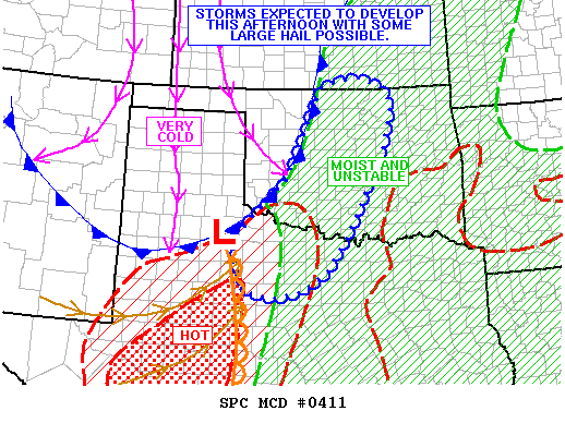 Mesoscale Discussion 411